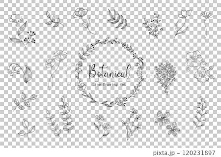 シンプルな植物の線画イラストセット 120231897