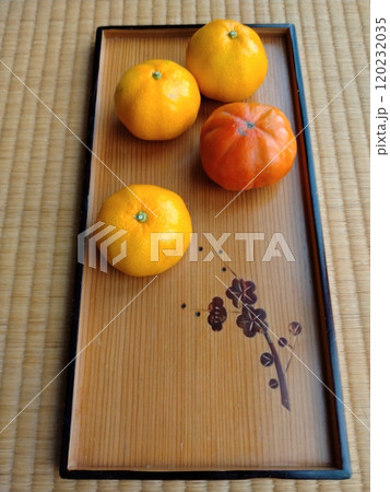 秋の味覚 ミカンと柿 秋の味覚 ミカンと柿 120232035