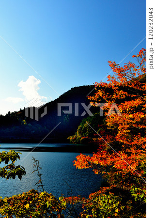 奥多摩湖いこいの路　紅葉の風景 120232043