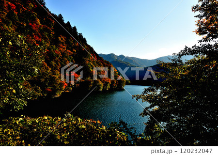 奥多摩湖いこいの路 紅葉の風景 奥多摩湖いこいの路 紅葉の風景 120232047