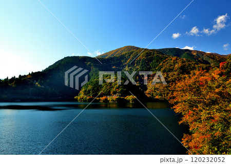 奥多摩湖いこいの路 紅葉の風景 奥多摩湖いこいの路 紅葉の風景 120232052