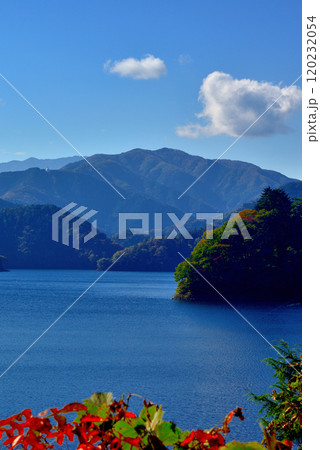 奥多摩湖いこいの路　紅葉の風景 120232054