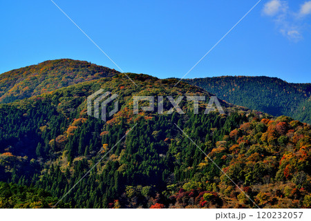 奥多摩湖いこいの路　紅葉の風景 120232057