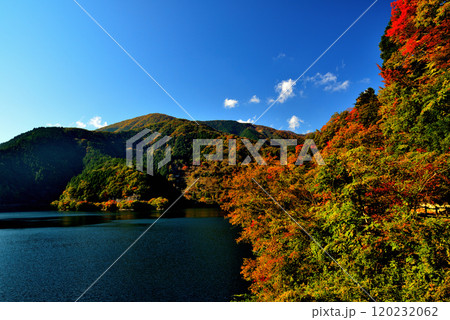 奥多摩湖いこいの路　紅葉の風景 120232062