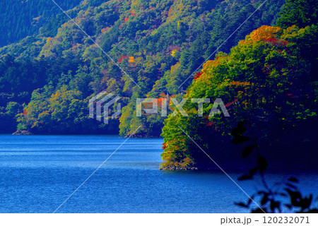 奥多摩湖いこいの路 紅葉の風景 奥多摩湖いこいの路 紅葉の風景 120232071