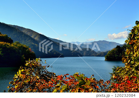 奥多摩湖いこいの路 紅葉の風景 奥多摩湖いこいの路 紅葉の風景 120232084