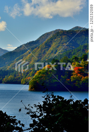 奥多摩湖いこいの路 紅葉の風景 奥多摩湖いこいの路 紅葉の風景 120232089