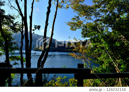 奥多摩湖いこいの路　紅葉の風景 120232138