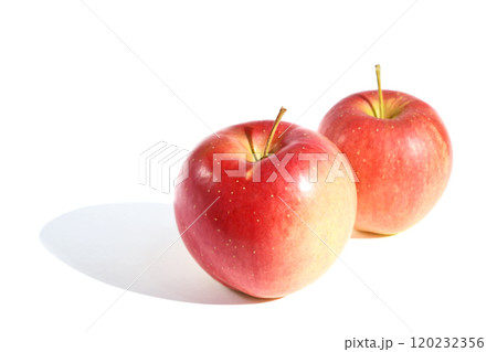 りんご（秋茜） 120232356