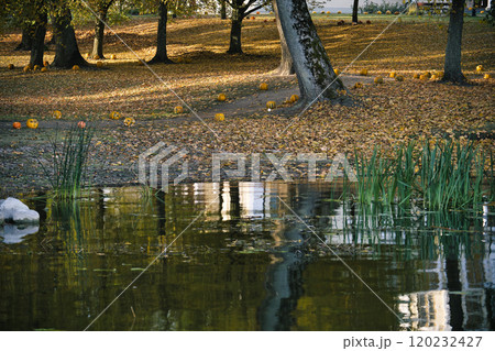 Scenic autumn park landscape with fallen leaves under trees reflecting in a tranquil pond 120232427