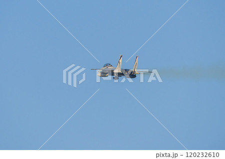 青空を滑空するアグレッサー戦闘機 120232610