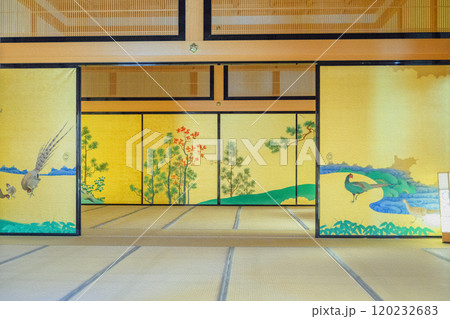 絢爛豪華な広い和室 絢爛豪華な広い和室 120232683