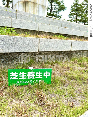 入ってはいけない、養生中の芝生 120232892