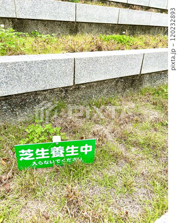 入ってはいけない、養生中の芝生 入ってはいけない、養生中の芝生 120232893