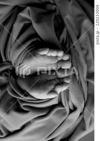 Foot of a newborn. Close up feet, toes, heels, feet of a newborn baby. Studio monochrome, vintage style, black and white macro photography. 120233008