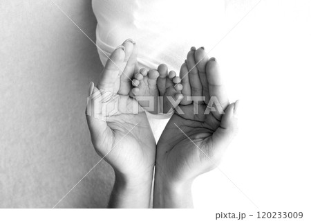 The palms of the parents. A father and mother hold the feet of a newborn child in a blanket. The feet of a newborn in the hands of parents. Black and white Photo of foot, heels and toes 120233009