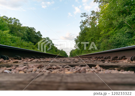 A beautiful view of train tracks off to the horizon surrounded by greenery. 120233322