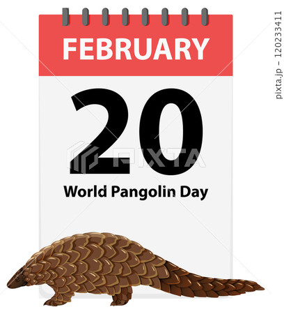 World Pangolin Day Celebration Illustration 120233411