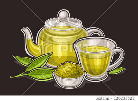 Vector logo for Green Tea Drink 120233523