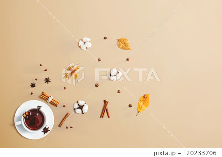 Black tea with cinnamon sticks and star anise 120233706