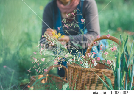 花摘み 花摘み 120233822