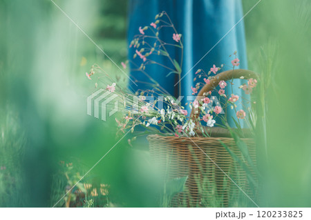 花摘み 花摘み 120233825
