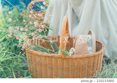 花摘み 120233860