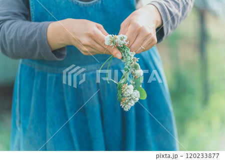 シロツメクサを編む 120233877