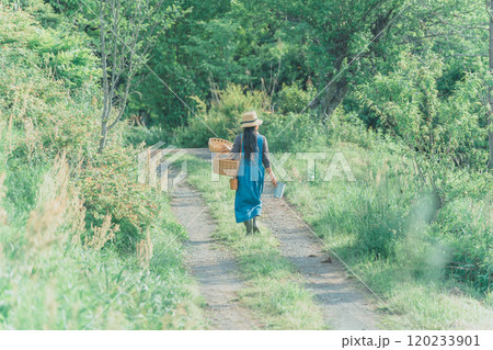 花摘みをしに緑豊かな未舗装の道を歩く花農家の女性 120233901