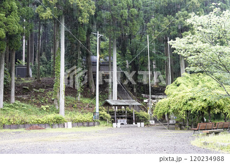 森林に囲まれた名もなき池（通称モネの池）がある根道神社 120234988