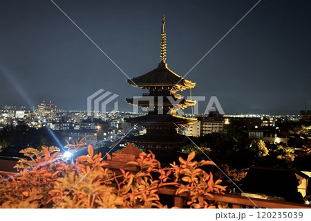 ザ・ホテル青龍ルーフトップバーから見る八坂の塔（夜景） 120235039