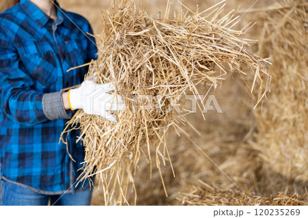Heap of dried hay in hands of female farm worker 120235269