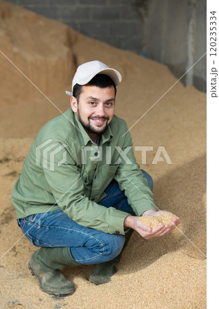 Farmer checking quality of soybean hulls for livestock feeding 120235334
