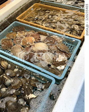 活ホッキ貝　活ホタテ　活牡蠣　殻付ホッキ貝　殻付きホタテ　殻付き牡蠣 120235403