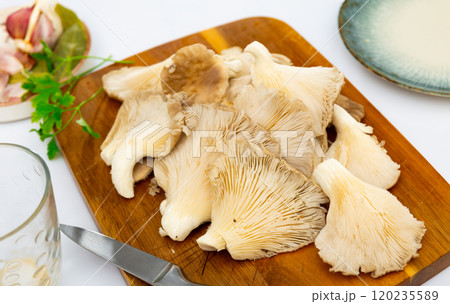 Oyster mushrooms served on table white background 120235589