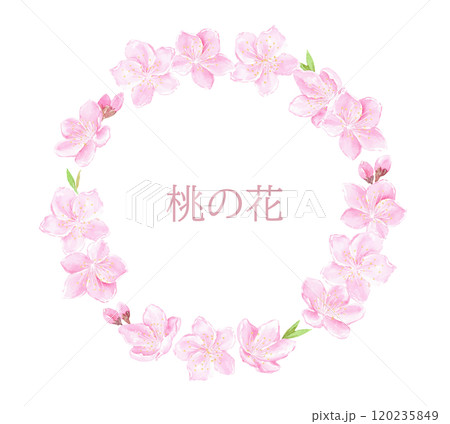 水彩で描いた桃の花の円フレーム 120235849