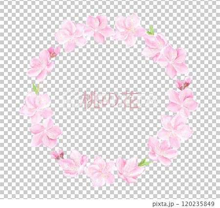 水彩で描いた桃の花の円フレーム 120235849