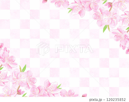 水彩で描いた桃の花の和風背景 120235852