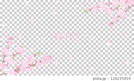 水彩で描いた桃の花の背景 120235854