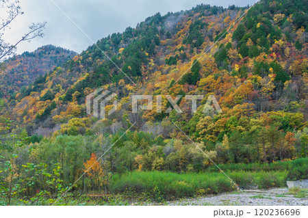 紅葉の立山黒部アルペンルート 長野2024 紅葉の立山黒部アルペンルート 長野2024 120236696