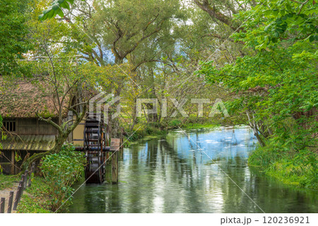 蓼川水車小屋 長野県安曇野市 黒澤映画のロケセット 蓼川水車小屋 長野県安曇野市 黒澤映画のロケセット 120236921