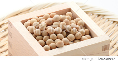 枡に盛った大豆 120236947