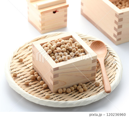 枡に盛った大豆 120236960