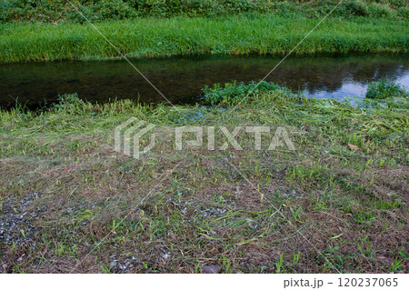 小さな川の河川敷の草刈りをした秋の日 120237065