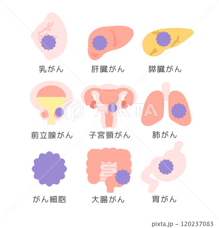 臓器とガンのイラストセット（説明あり） 120237083