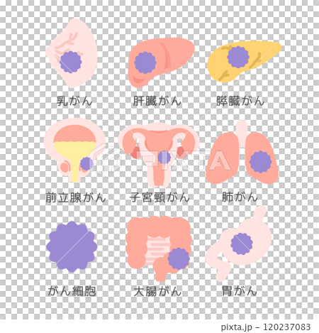 臓器とガンのイラストセット（説明あり） 120237083