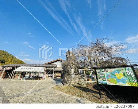 国重要無形民俗文化財 龍勢資料館のある 道の駅龍勢会館 国重要無形民俗文化財 龍勢資料館のある 道の駅龍勢会館 120237097