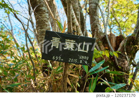 青葉山の山頂 青葉山の山頂 120237170