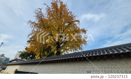 autumn street 120237315