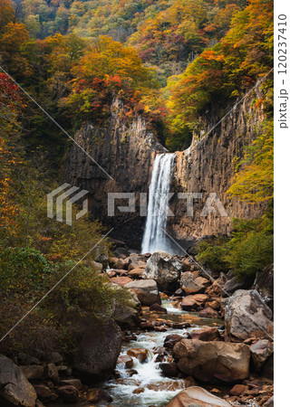 紅葉に染まる苗名滝と川の流れ 120237410